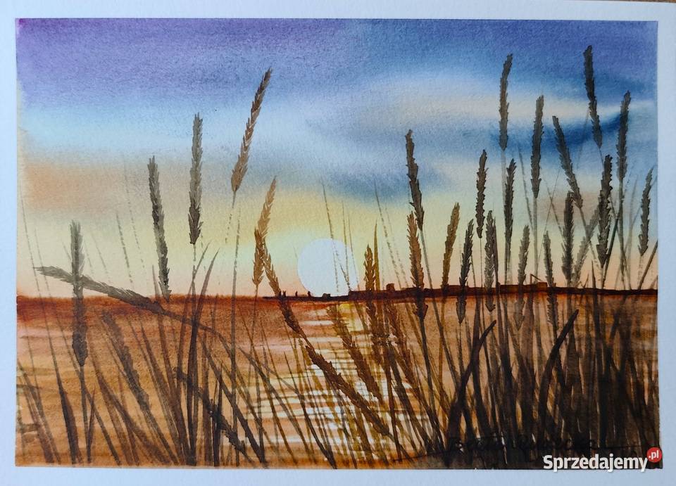 Akwarela Akwarelka Obraz pt Drugiej Stronie 15 x podlaskie Białystok