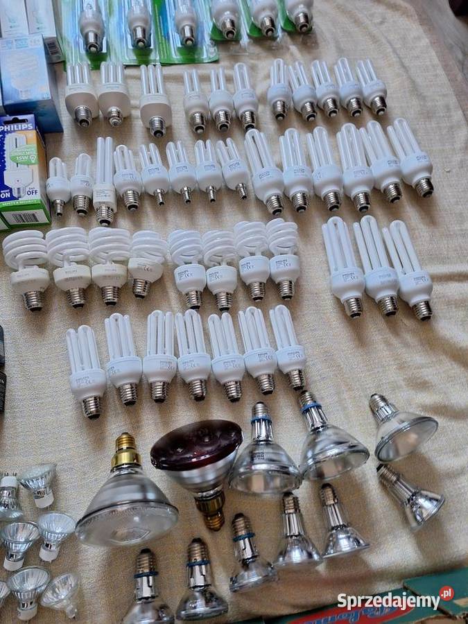 Żarówka philips Różne wartości wielkopolskie Piła