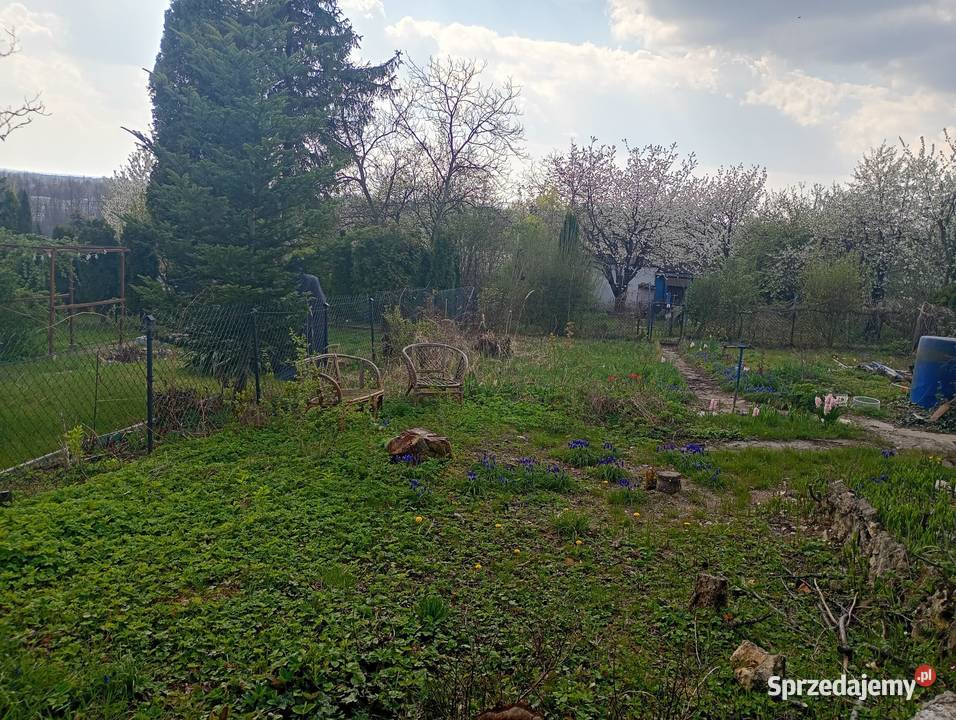 Działka ROD Wypoczynek Będzin rekreacyjna śląskie