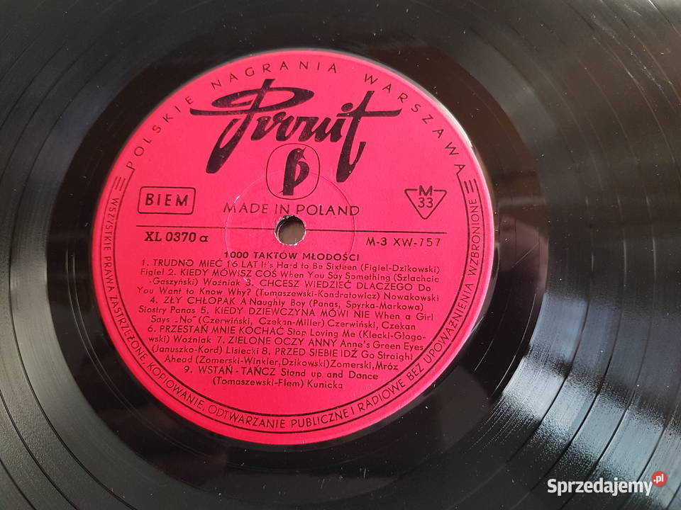 1000 taktów młodości płyta winylowa wielkopolskie