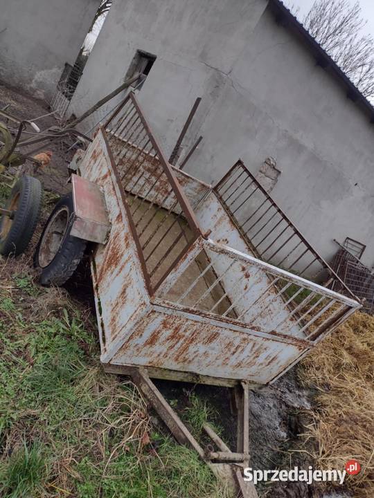 Przyczepa jednoosiowa Skórzno