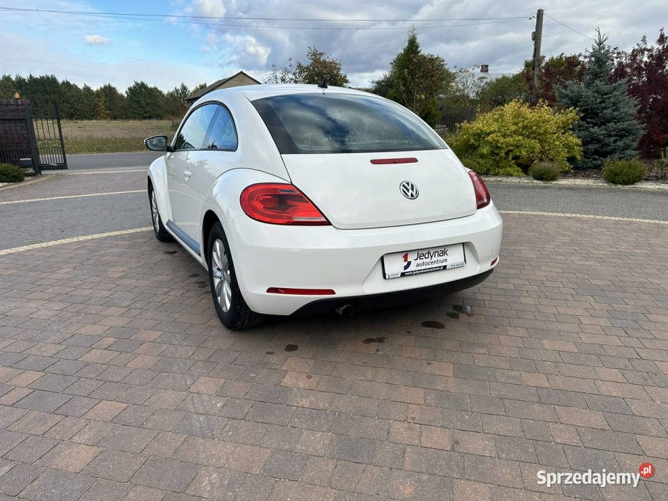 Volkswagen Beetle Lipówki