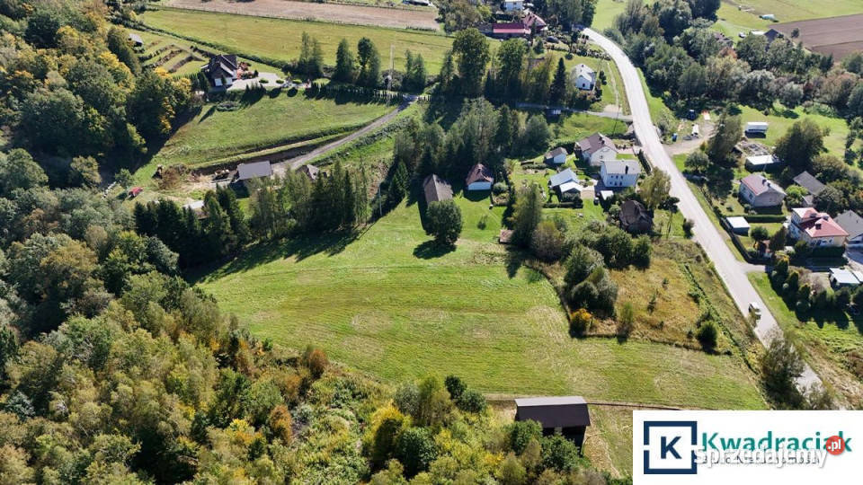 Działka 39400m2 Święcany 11zł/m2