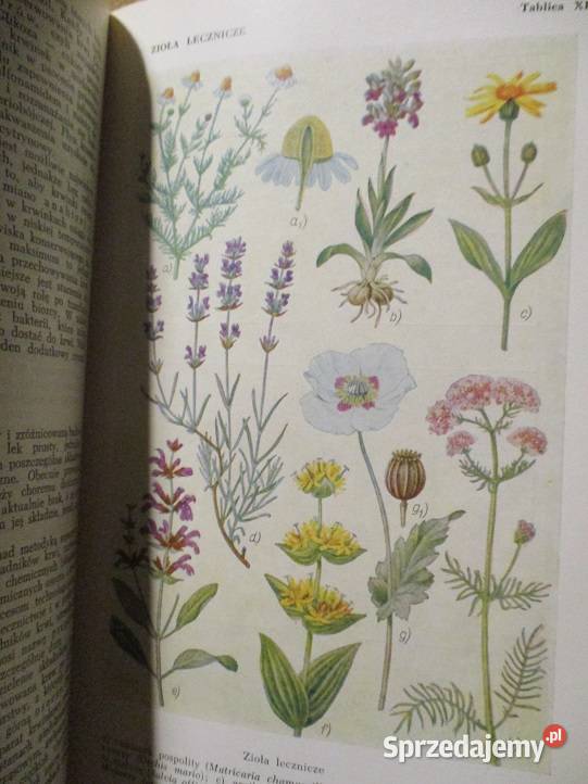 Mała encyklopedia zdrowia 1963 medycyna zdrowie sprzedam