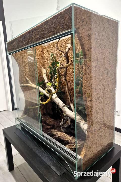 Sprzedam Terrarium szklane 80 396 85 2 lampy UVB Gdańsk