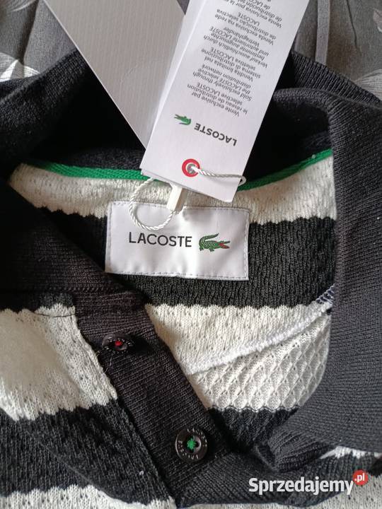 Koszulka polo Lacoste gruba sweterkowa bawełna Lacoste Odzież wyjściowa Białystok