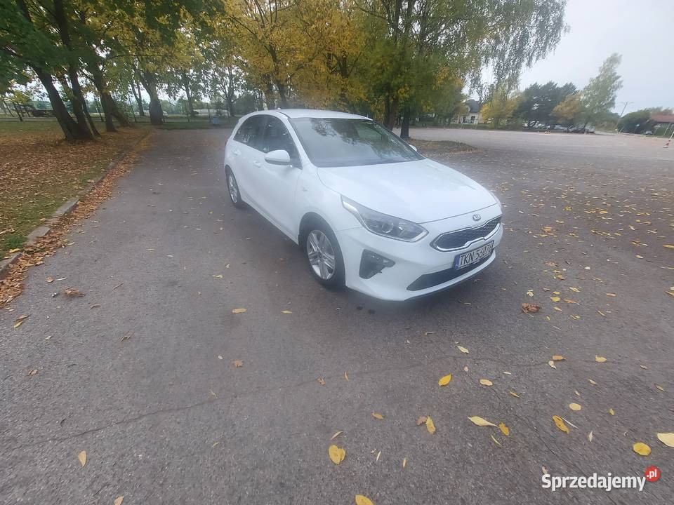 Kia Końskie