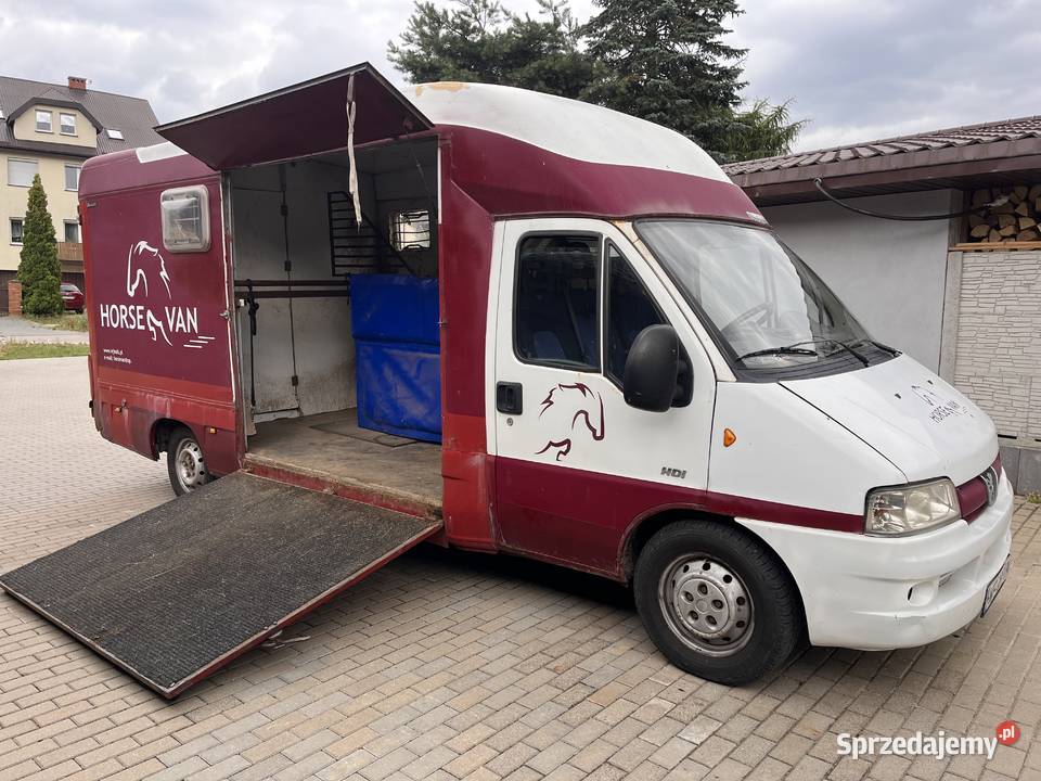 Koniowóz Peugeot Boxer Lublin