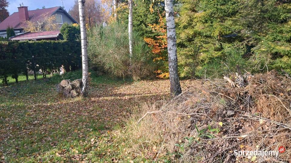 Dzialka rekreacyjna ROD Przywidza woda pomorskie Przywidz sprzedam