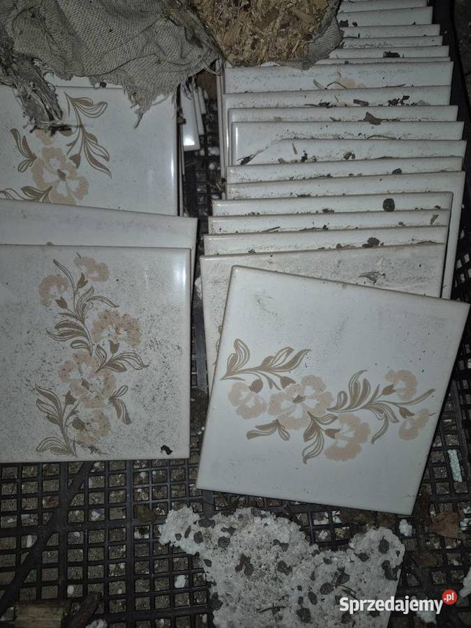 Stare płytki Łuków