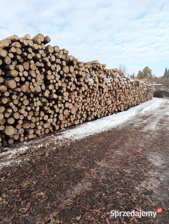 Drewno w wałkach S2A 250 Osika Sosna Brzoza Dąb Bolesław sprzedam