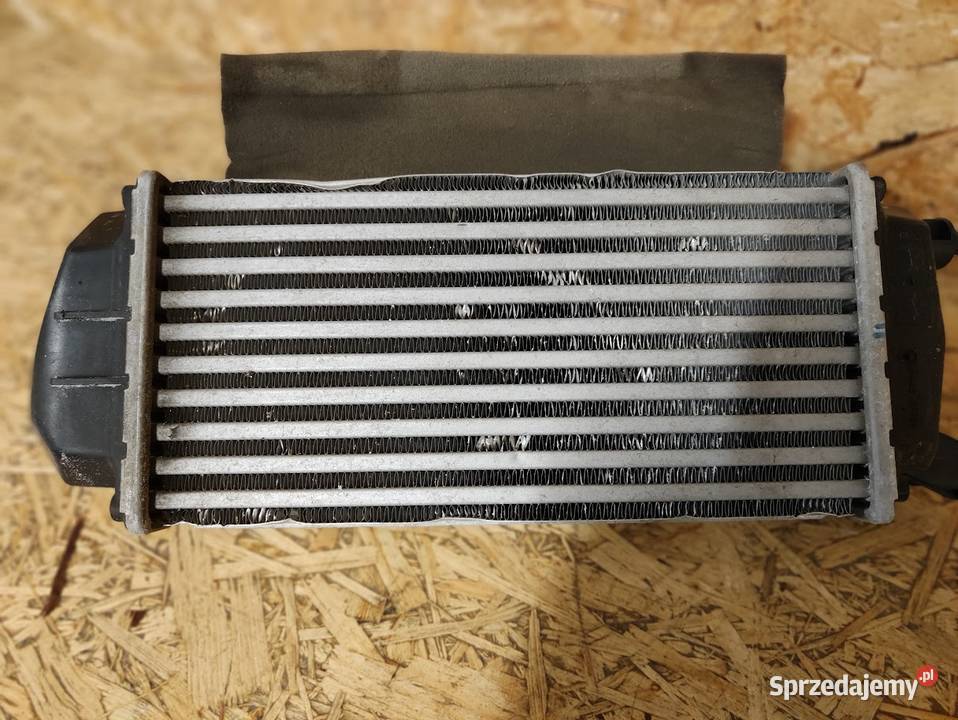 Chłodnica Powietrza Intercooler Ford EcoSport II Pleszew