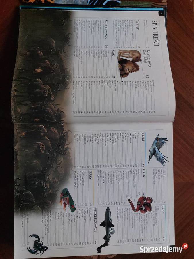 Królestwo zwierząt encyklopedia Świat Książki DK