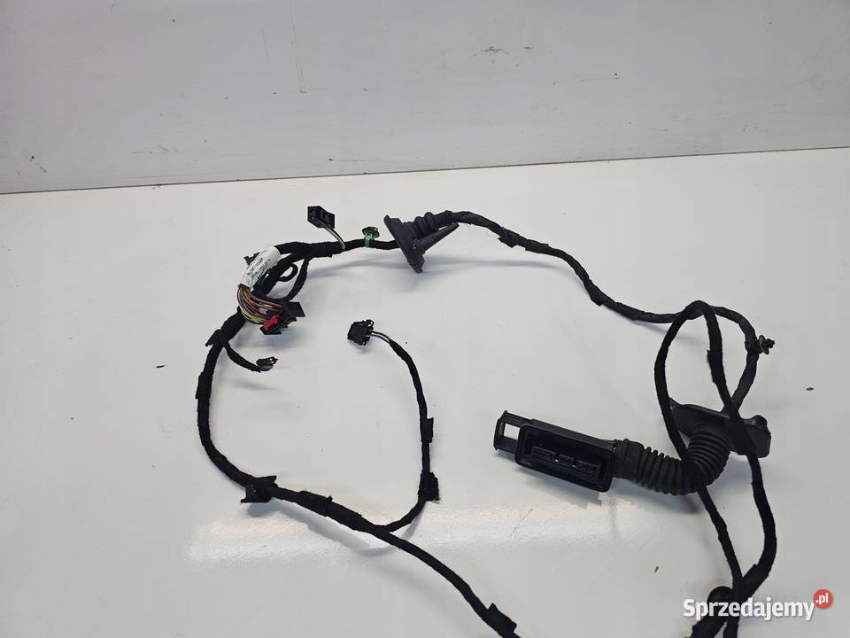 WIĄZKA DRZWI LEWY PRZÓD AUDI Q3 8U0971029AF