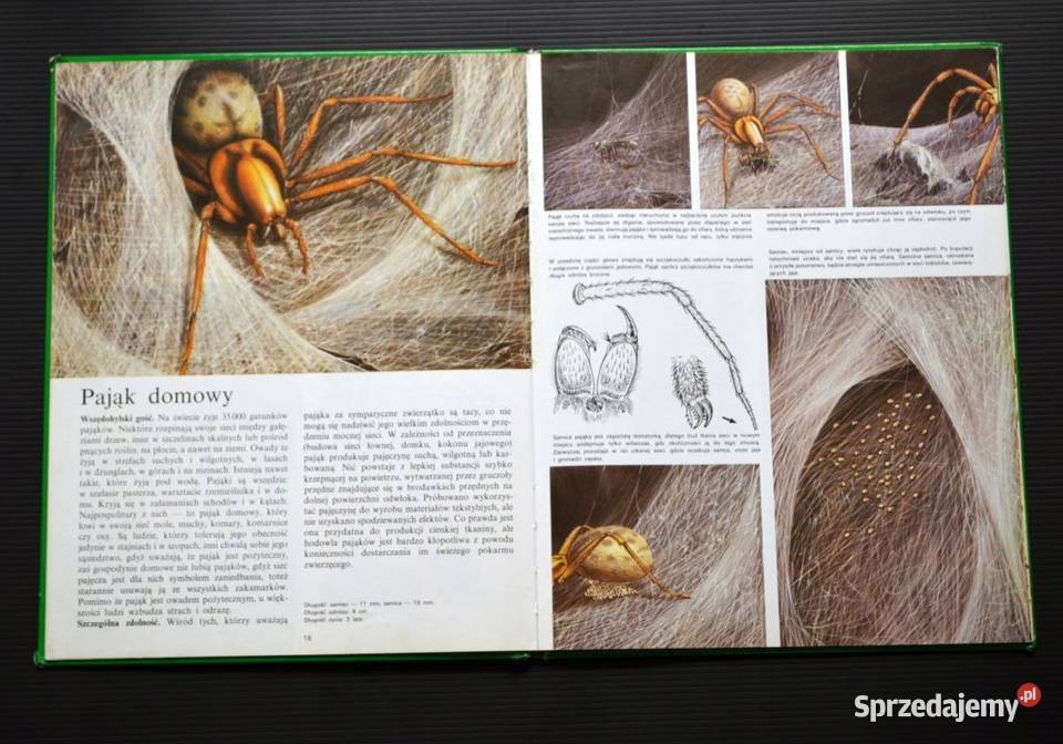 Tajemnice zwierząt w ogrodzie i w domu Kruszwica