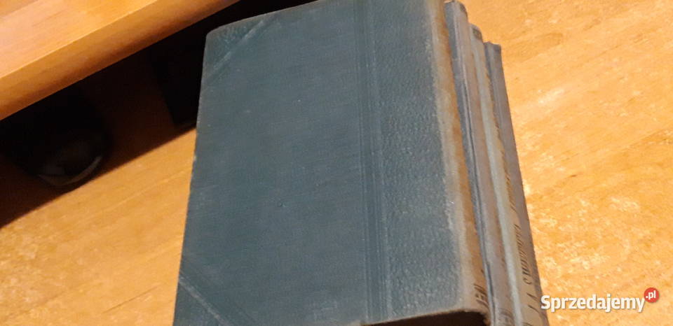 HISTORYA LITERATURY ŻYDOWSKIEJ14 ŚWIĘCICKI1902 Antykwariat Iwno sprzedam