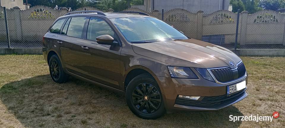 Skoda Octavia 16 TDI 115 2019 Mega Auto Zarejestrowany w Polsce Octavia łódzkie Radomsko