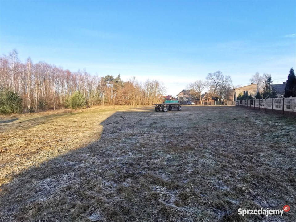 Działka Drzązna 2600m2 31m sprzedam