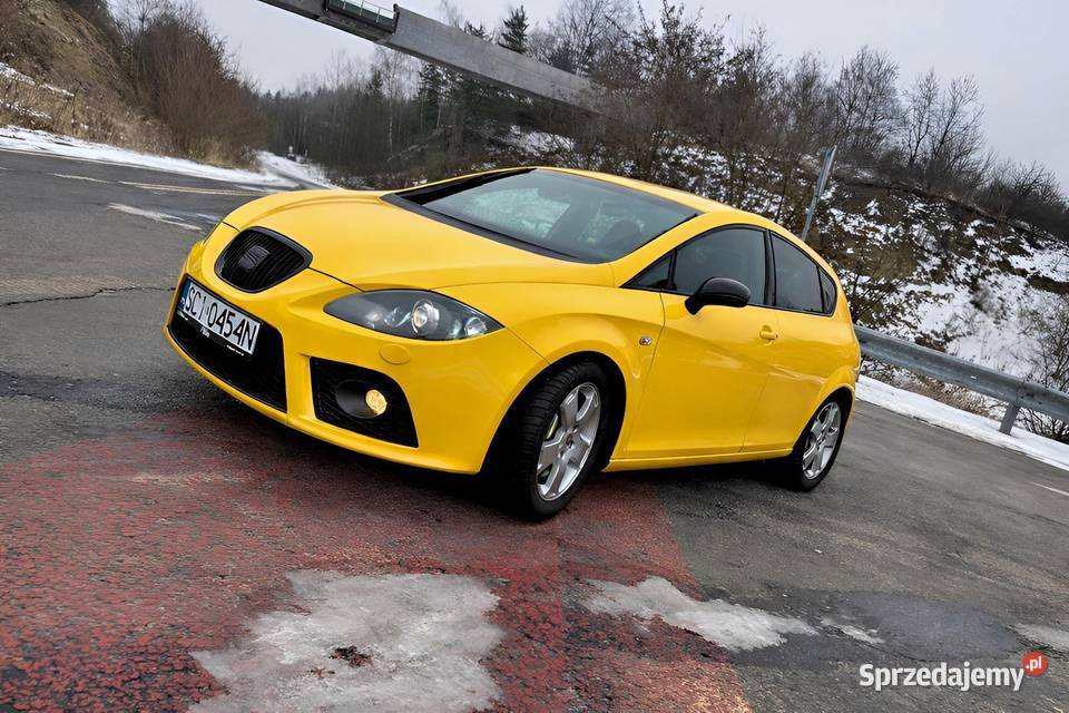 Seat Leon Cupra 240 Ramair Xenon MZamiana