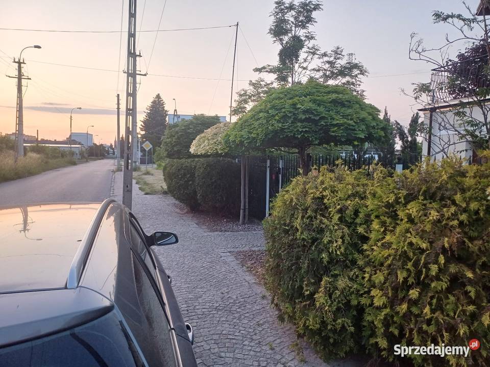 Koszenie trawy i prace ogrodowe Mszczonów prace ogrodowe