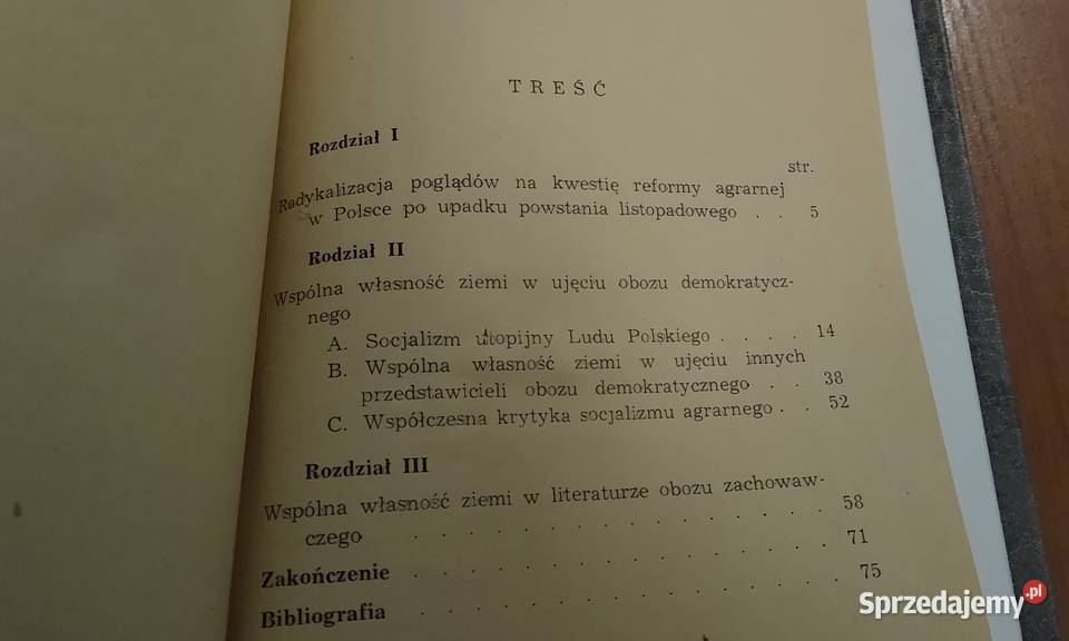 Wspólna własność ziemi w polskiej publicystyce Gdańsk