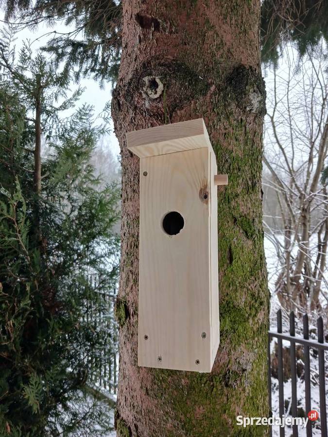 Budka lęgowa ptaków Brzesko