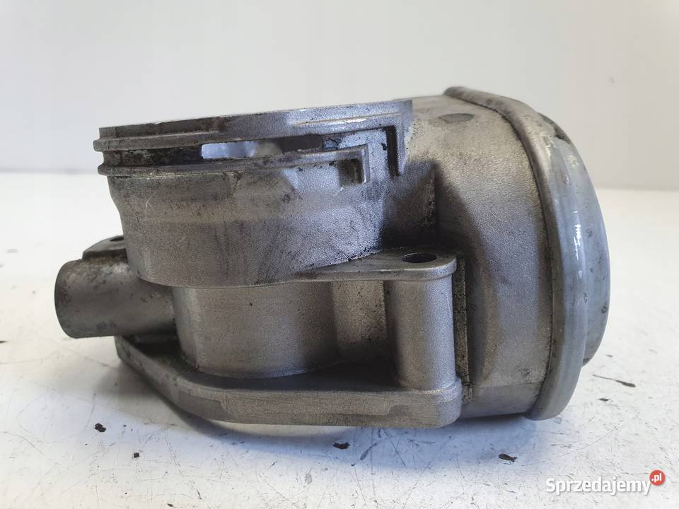 PRZEPUSTNICA VW Golf V 20 TDI era Rudka