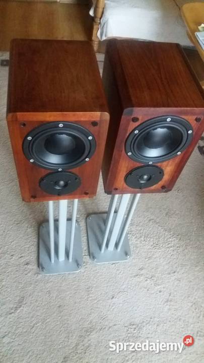 Dynaudio Foccus i standy Szczecin