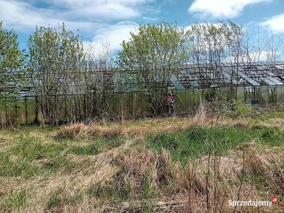 Usługi rębakiem sprzątanie działekkoszenie trawy lubelskie Tomaszów Lubelski