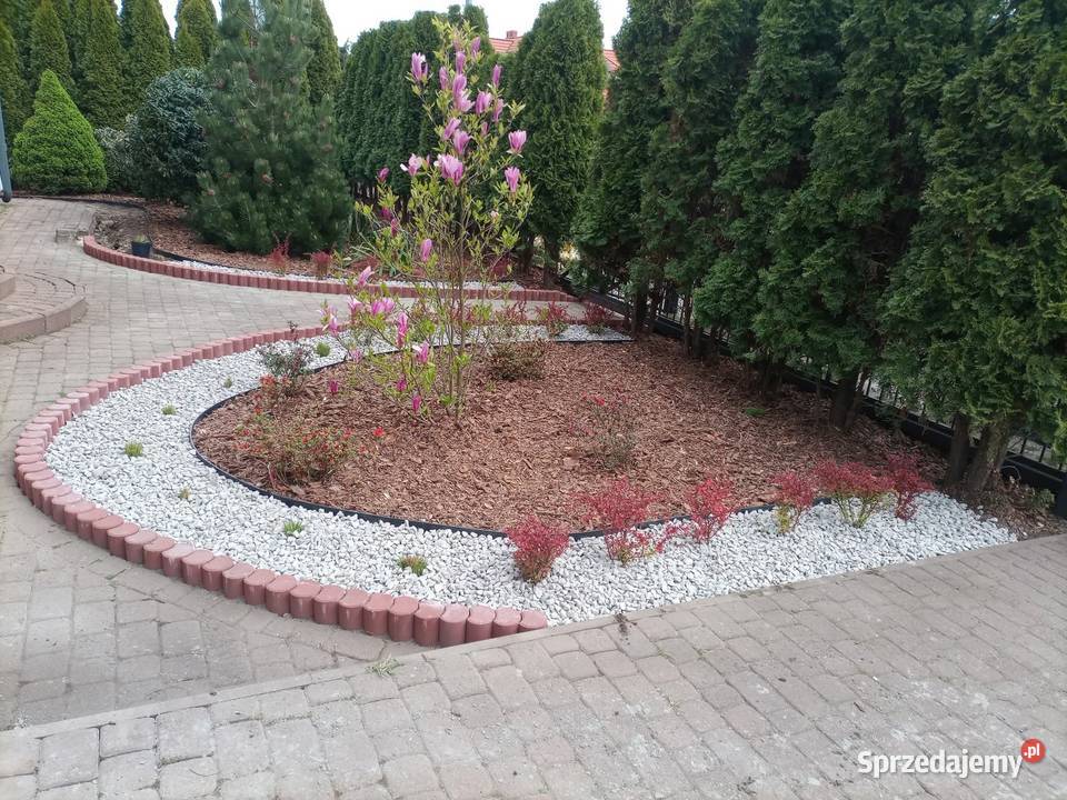 Usługi ogrodnicze Lębork prace ogrodowe