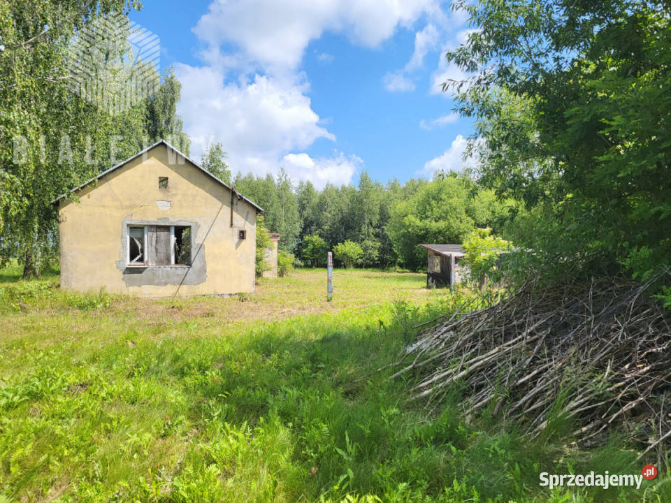 Działka do sprzedania Elżbietów 6400m2 Sprzedaż mazowieckie