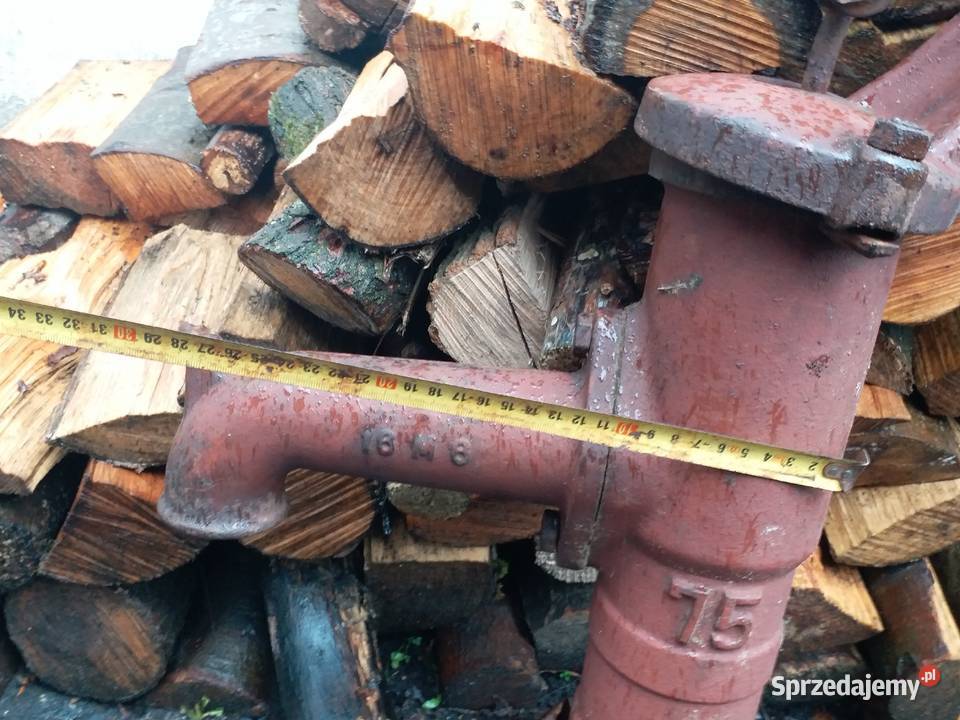 Dekoracja ogrodowaZabytkowaPompa Barlinek