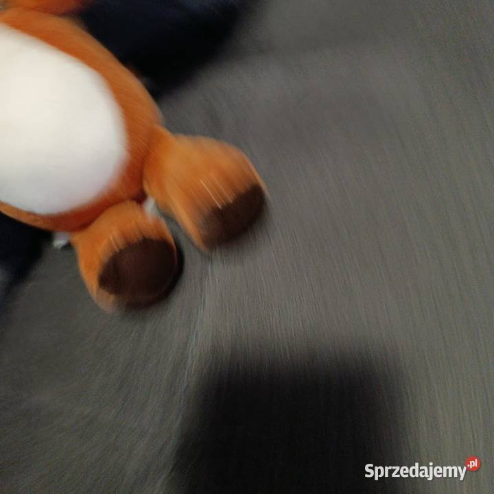 wiewiórka Kinder pluszak maskotka zabawka Poznań