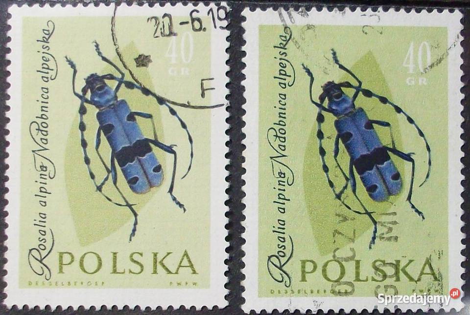 Polska1132113311341135113611371138113911401141114 sprzedam