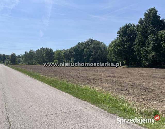Grunt 1032m2 Skrzyszów