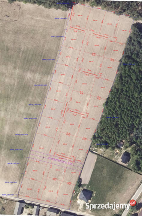 Działka 600m2 Smyków