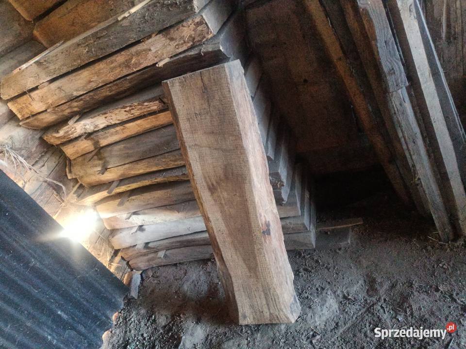 Brusy Dębowe 2500 calość