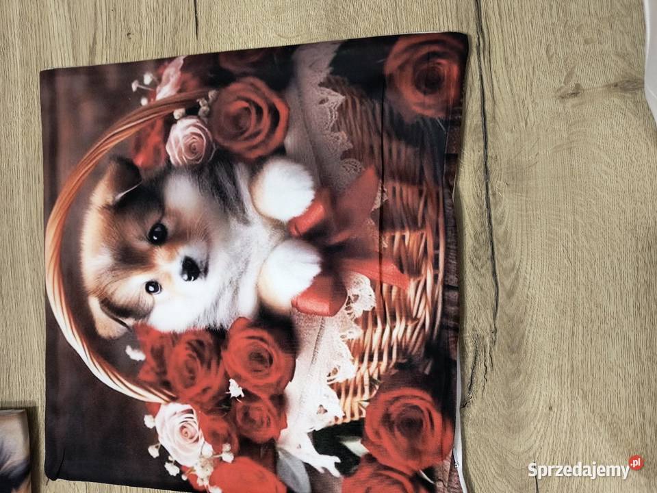 Poszewki na poduszki dzieci Wyposażenie wnętrz Rypin