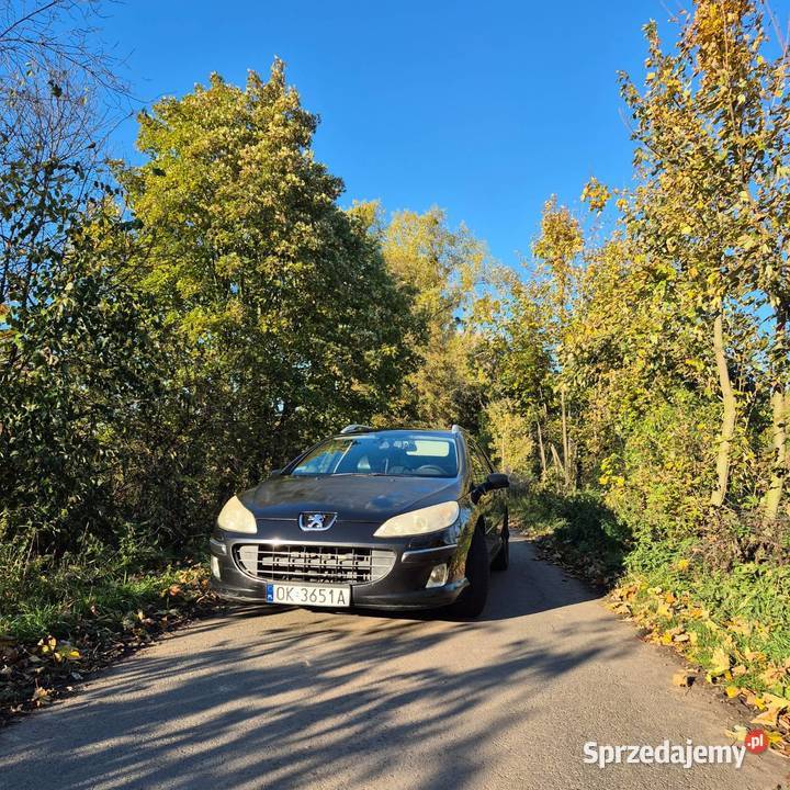Peugeot 407 sw CD 407 Kędzierzyn-Koźle