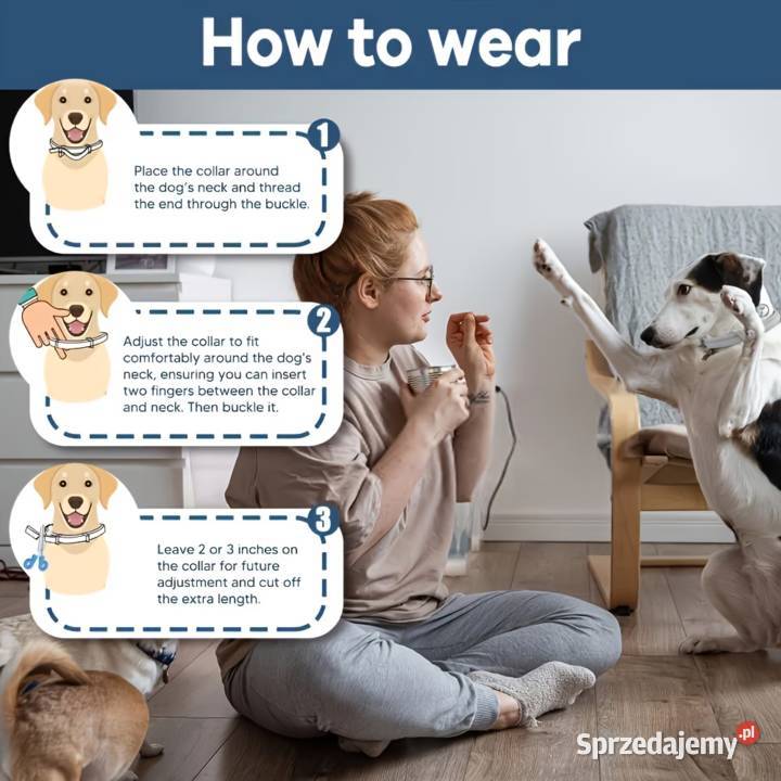 Obroża Przeciw Kleszczom i Pchłom L40Wodoodporna mazowieckie Płock