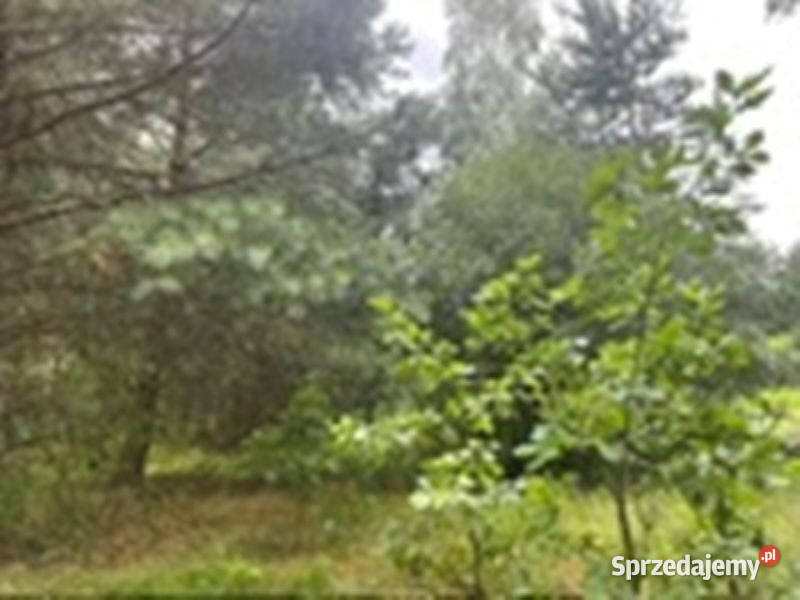 Działka budowlana Polany Aleksandrów 2766m2 Warszawa