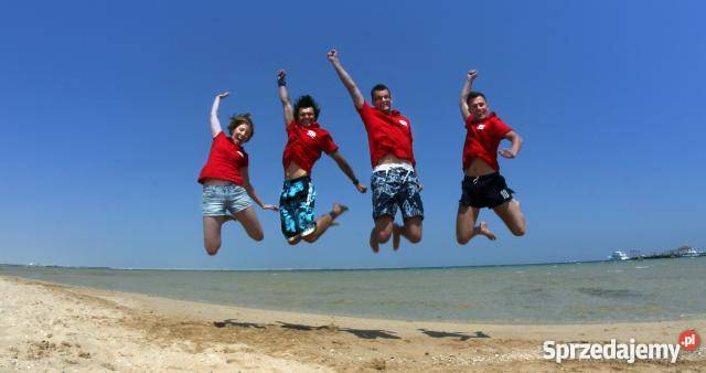 Książka amatora do animatora