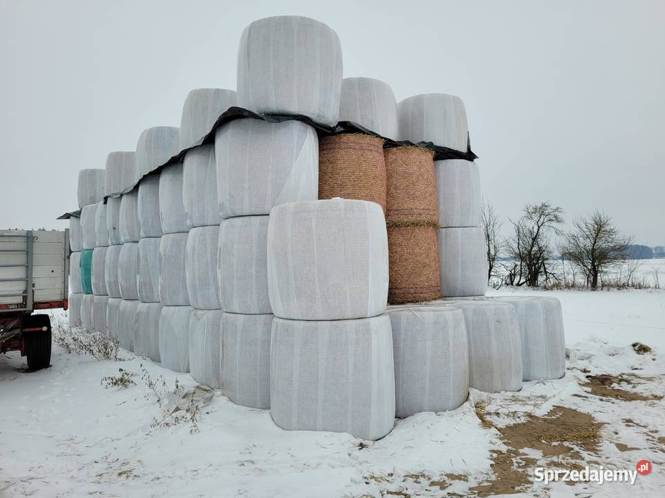 Bele słomy słoma Sokoły