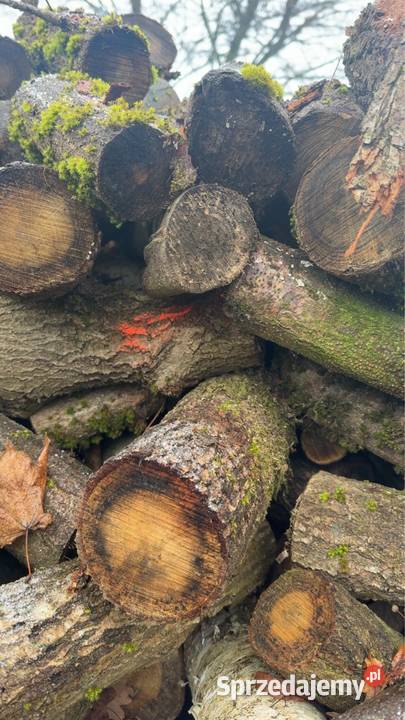 Gałeziówka sprzedam