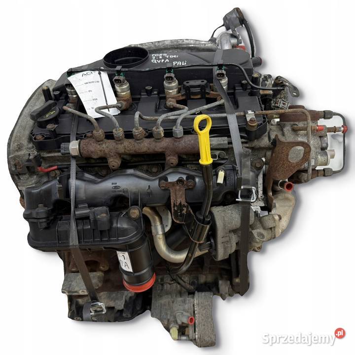 SILNIK QVFA Ford Transit VII MK7 22 TDCI 110 Chełm