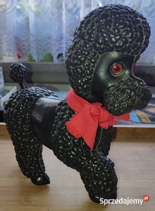 PRL pieski zozolki Warszawa