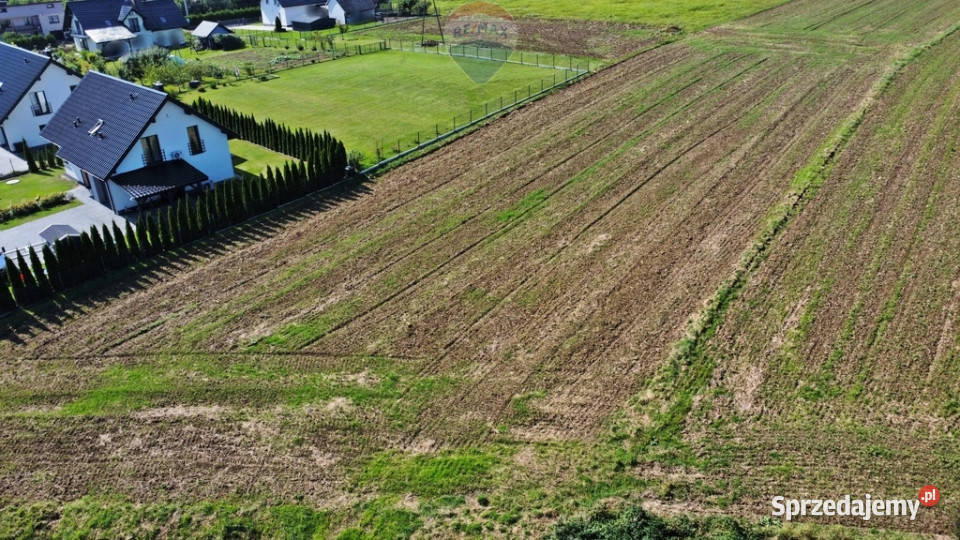 Działka budowlana 1190 m2 w Frydrychowicach Sprzedaż Frydrychowice
