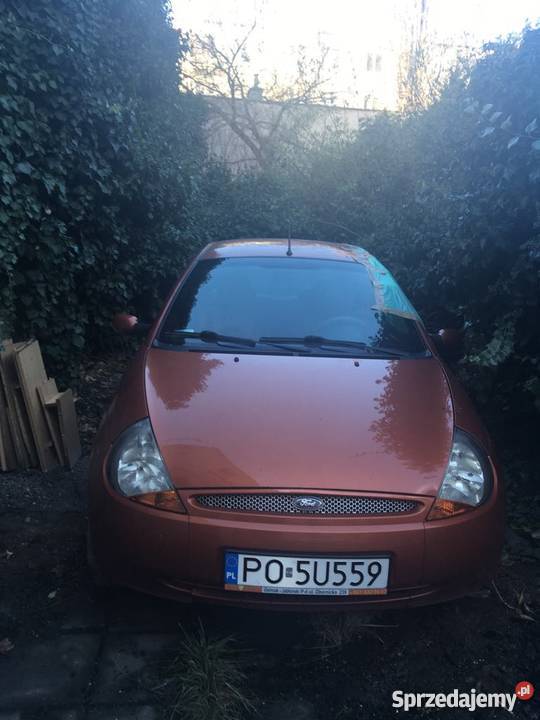 Sprzedam Ford Ka 2003 r uszkodzony Poznań