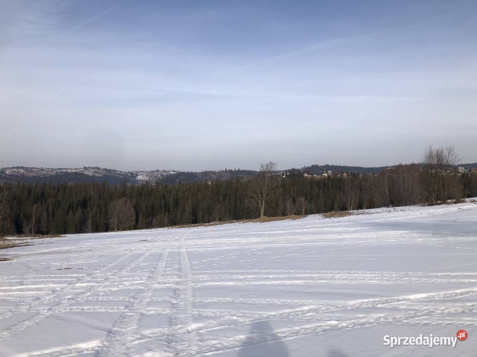 Działka rolna z widokiem na Tatry Zakopane 4928m2