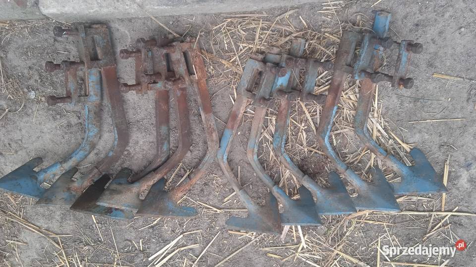 Wielorak w opielacz pielnik do warzyw ekopielnik Lublin